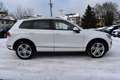 Volkswagen Touareg V6 TDIExclusive Terrain "STANDHZG/PANO" - thumbnail 6