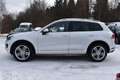 Volkswagen Touareg V6 TDIExclusive Terrain "STANDHZG/PANO" - thumbnail 12