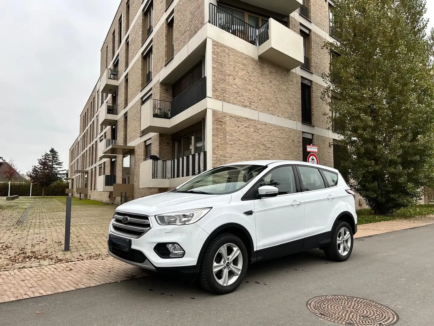 Ford Kuga Trend|SHZ|PDC|1.HAND|34000KM!!!| Weiß - 2