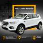 Ford Kuga Trend|SHZ|PDC|1.HAND|34000KM!!!| Weiß - thumbnail 1