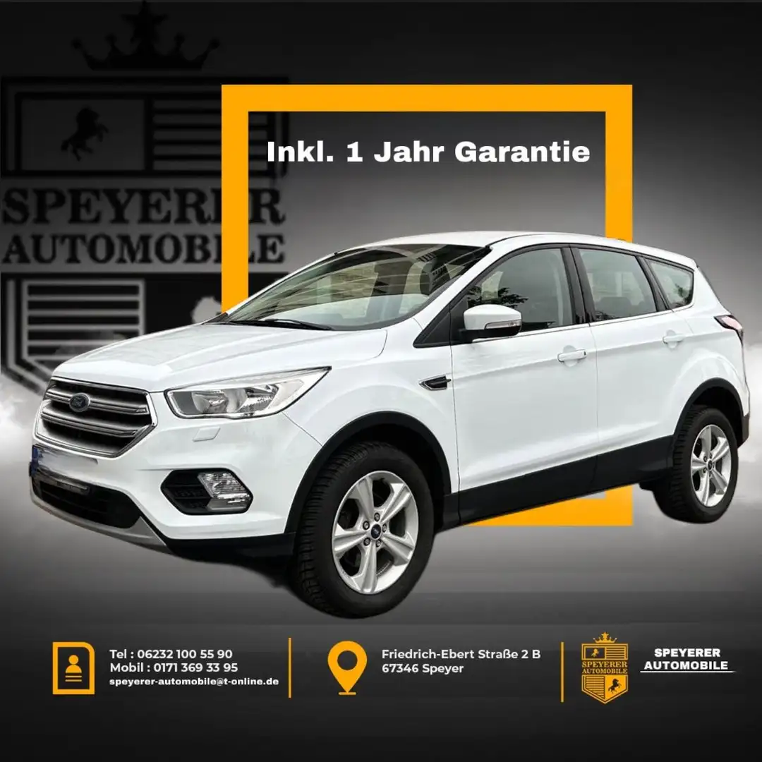 Ford Kuga Trend|SHZ|PDC|1.HAND|34000KM!!!| Weiß - 1