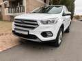 Ford Kuga Trend|SHZ|PDC|1.HAND|34000KM!!!| Weiß - thumbnail 6