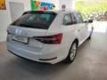 Skoda Superb Superb Kombi 2,0 TDI DSG Style *3 Jahre Garantie Weiß - thumbnail 4