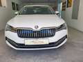 Skoda Superb Superb Kombi 2,0 TDI DSG Style *3 Jahre Garantie Weiß - thumbnail 2