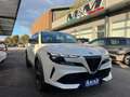 Alfa Romeo Junior 1.2 145 CV Hybrid eDCT6 Speciale #VARI COLORI Blanc - thumbnail 1