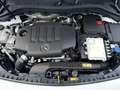 Mercedes-Benz B 180 d Österreich-Edition Progressive Navi PTS Weiß - thumbnail 20