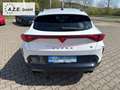 CUPRA Formentor VZ 2.0 TSI DSG 4x4 *NAVI*MATRIX*EL.KLAPPE*MFL*L... Weiß - thumbnail 7