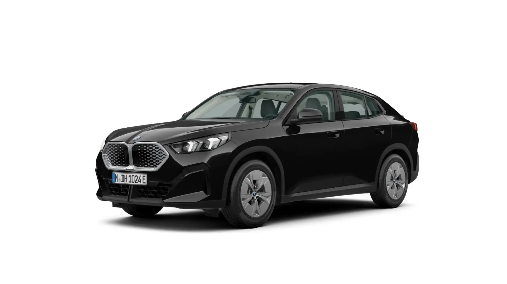 BMW iX2 eDrive20 17"LM LED Shz RFK PDC Negru - 1
