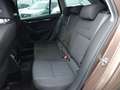 Skoda Octavia Combi 2.0 TSI  Style LED LM SHZ Navi Braun - thumbnail 21