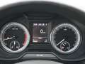 Skoda Octavia Combi 2.0 TSI  Style LED LM SHZ Navi Braun - thumbnail 10