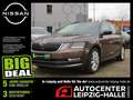 Skoda Octavia Combi 2.0 TSI  Style LED LM SHZ Navi Braun - thumbnail 1