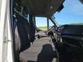 Iveco Daily 35C13 Koelwagen FRIGO D/N! Wit - thumbnail 7