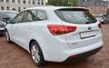 Kia Ceed / cee'd Sportswagon 1.6 Klimaautomatik Sitzheizung Weiß - thumbnail 7