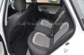 Kia Ceed / cee'd Sportswagon 1.6 Klimaautomatik Sitzheizung Weiß - thumbnail 12