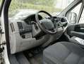 Peugeot Boxer *STREETFOOD*IMBISSWAGEN*TOP* Alb - thumbnail 9