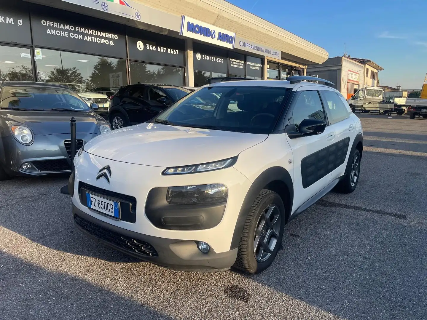 Citroen C4 Cactus 1.6 bluehdi Shine 100cv Bianco - 1