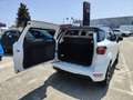 Ford EcoSport 1.0 EcoBoost 125cv auto ST-Line Weiß - thumbnail 9