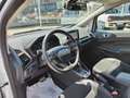 Ford EcoSport 1.0 EcoBoost 125cv auto ST-Line Weiß - thumbnail 14