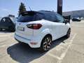 Ford EcoSport 1.0 EcoBoost 125cv auto ST-Line Weiß - thumbnail 5