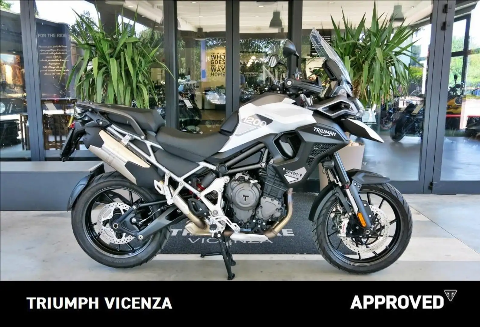 Triumph Tiger 1200 GT Pro Abs Bianco - 1