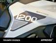 Triumph Tiger 1200 GT Pro Abs Blanc - thumbnail 9