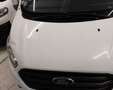 Ford Transit Custom Custom  Kasten 2,0 TDCI L2H2 340 Trend Weiß - thumbnail 17