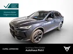 Cupra Formentor VZ 2.0 TSI 4x4 DSG*NAVI*KAM*SHZ*EL.HEC