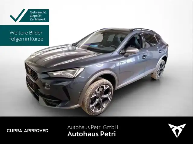 Cupra Formentor VZ 2.0 TSI 4x4 DSG*NAVI*KAM*SHZ*EL.HEC