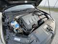 Volkswagen Jetta Highline 1,6 TDI DPF Aut. - thumbnail 18