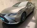 Lexus ES 300 300h ECO Gris - thumbnail 6