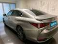 Lexus ES 300 300h ECO Gris - thumbnail 5