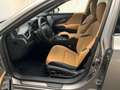 Lexus ES 300 300h ECO Gris - thumbnail 10