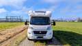 Fiat Sonstige FORSTER / FIAT T738 EB Wohnmobil Weiß - thumbnail 4