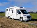 Fiat Sonstige FORSTER / FIAT T738 EB Wohnmobil Weiß - thumbnail 3