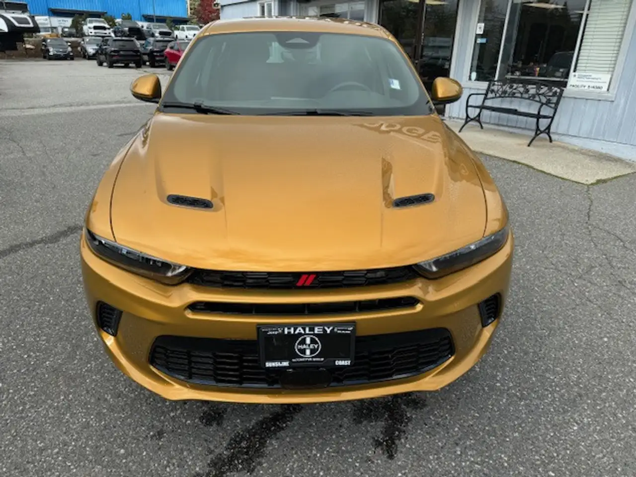 Dodge Hornet снимка Dodge Hornet