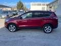 Ford Kuga 2.0 TDCI 150 CV S&S 4WD Titanium Rojo - thumbnail 8