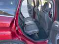 Ford Kuga 2.0 TDCI 150 CV S&S 4WD Titanium Rosso - thumbnail 14