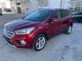 Ford Kuga 2.0 TDCI 150 CV S&S 4WD Titanium Rosso - thumbnail 3