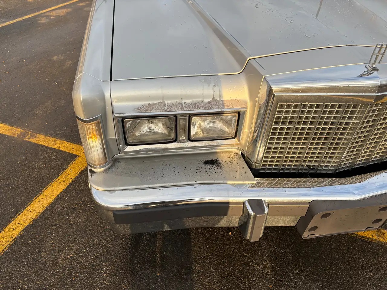 Lincoln Town Car снимка Lincoln Town Car