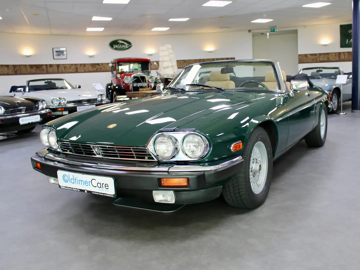 Jaguar XJS Cabrio V12 Зелёный - 1