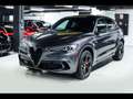 Alfa Romeo Stelvio QUADRIFOGLIO 2.9T V6 AT8-Q4°GRIGIO VESUVIO°CARBON Gris - thumbnail 6