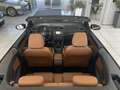Volkswagen Golf Cabriolet 1.6TDI Exclusive Leder Navi Xenon Siyah - thumbnail 15
