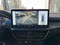 Ford Focus CLIPPER ACTIVE X AUTOMAAT-LEDER-OPEN DAK Gris - thumbnail 20