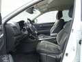 Renault Koleos Koleos II 1.3 TCe 160 Limited GPF Navi/Sitzhzg. BC Weiß - thumbnail 7