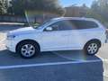 Volvo XC60 XC60 I 2014 2.4 d4 Business awd 163cv Bianco - thumbnail 2