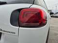 Citroen C3 Aircross BLUEHDI 100 S&S FEEL Bianco - thumbnail 17