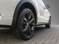 Volkswagen T-Roc 2.0 TDI DSG R-Line Black Style AHK, RFK, IQ.Lig... Grau - thumbnail 5
