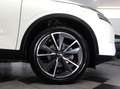 Nissan Qashqai 1.3 BZ 158 CV MHEV X-TRONIC TEKNA Wit - thumbnail 13