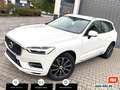 Volvo XC60 D4 Inscription AWD Leder Navi Kamera 1. Hd. Weiß - thumbnail 1