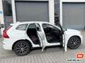 Volvo XC60 D4 Inscription AWD Leder Navi Kamera 1. Hd. Weiß - thumbnail 6